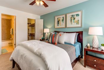 Spacious closets & walk-in closets